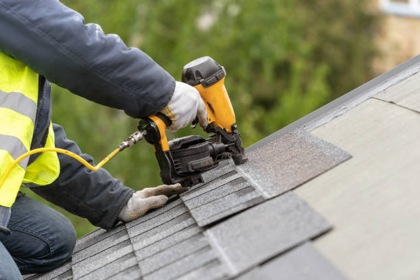 Best Roof Maintenance and Cleaning  in El Portal, FL