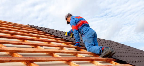 Best Roof Insulation Installation  in El Portal, FL