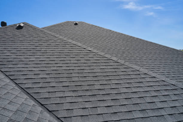 Best Roof Coating and Sealing  in El Portal, FL